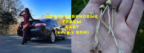 амф Белокуриха
